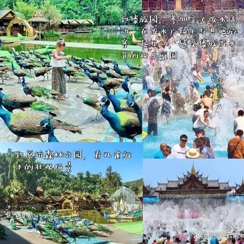 西双版纳旅游攻略｜亲子游/闺蜜游/老年游路线都给大家安排好了