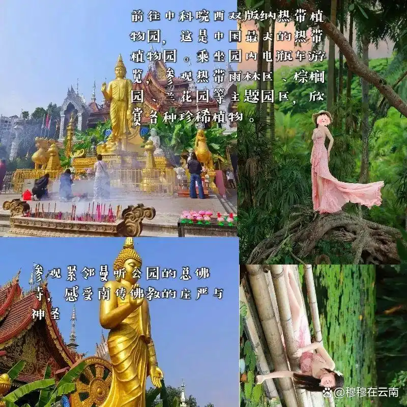 西双版纳旅游攻略｜亲子游/闺蜜游/老年游路线都给大家安排好了