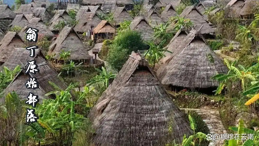 7-8月份去云南旅游怎么玩？抄这份云南超全旅游攻略新手必看‼️