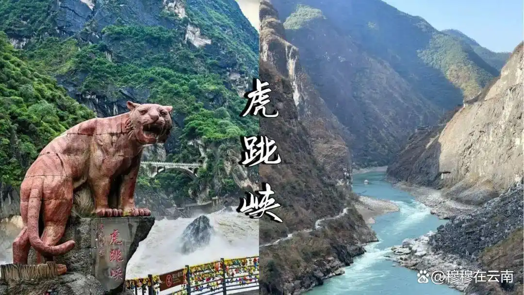 7-8月份去云南旅游怎么玩？抄这份云南超全旅游攻略新手必看‼️