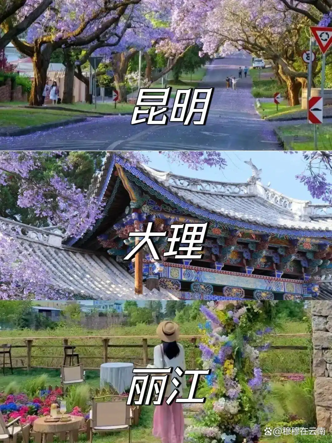 7-8月份去云南旅游怎么玩？抄这份云南超全旅游攻略新手必看‼️