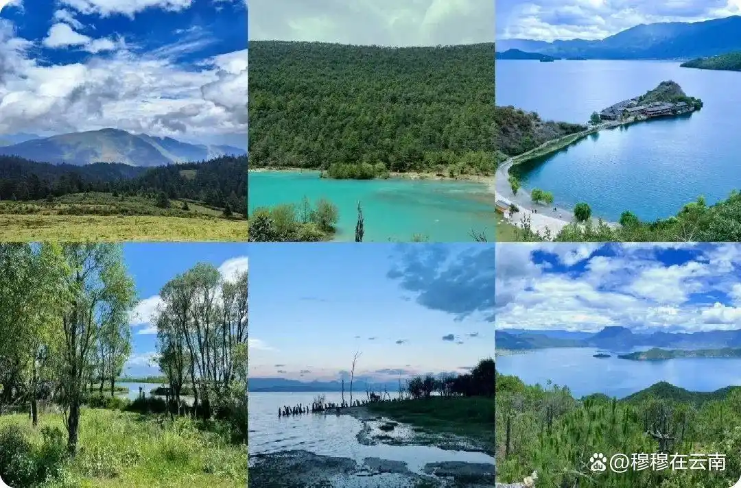 7-8月份去云南旅游怎么玩？抄这份云南超全旅游攻略新手必看‼️