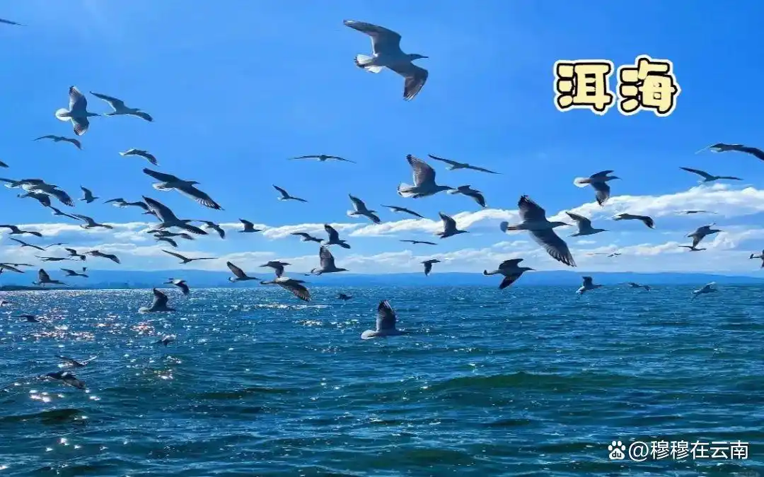 7-8月份去云南旅游怎么玩？抄这份云南超全旅游攻略新手必看‼️