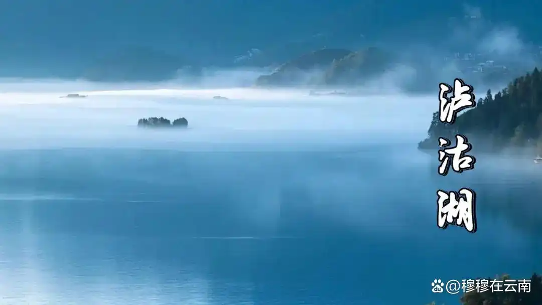 7-8月份去云南旅游怎么玩？抄这份云南超全旅游攻略新手必看‼️