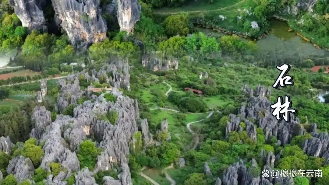 7-8月份去云南旅游怎么玩？抄这份云南超全旅游攻略新手必看‼️