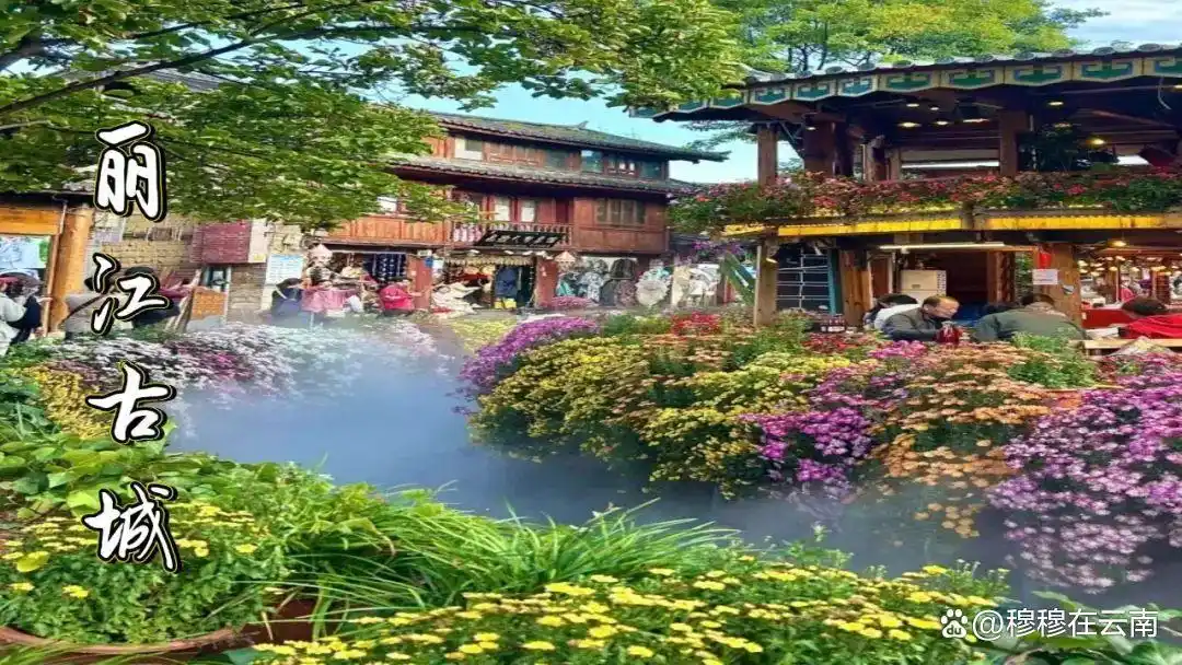 7-8月份去云南旅游怎么玩？抄这份云南超全旅游攻略新手必看‼️