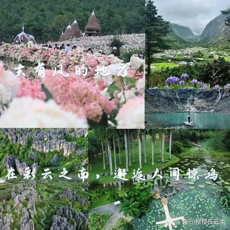 「云南旅游攻略」7-8月计划去云南的姐妹们！速查收超详细‼️