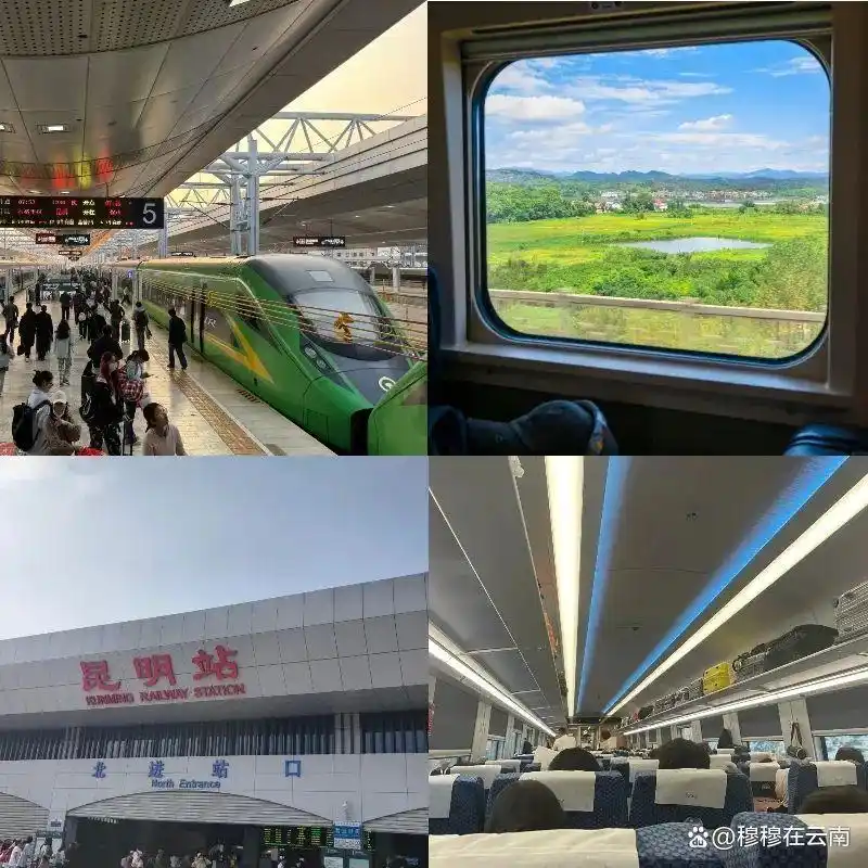 「云南旅游攻略」7-8月计划去云南的姐妹们！速查收超详细‼️