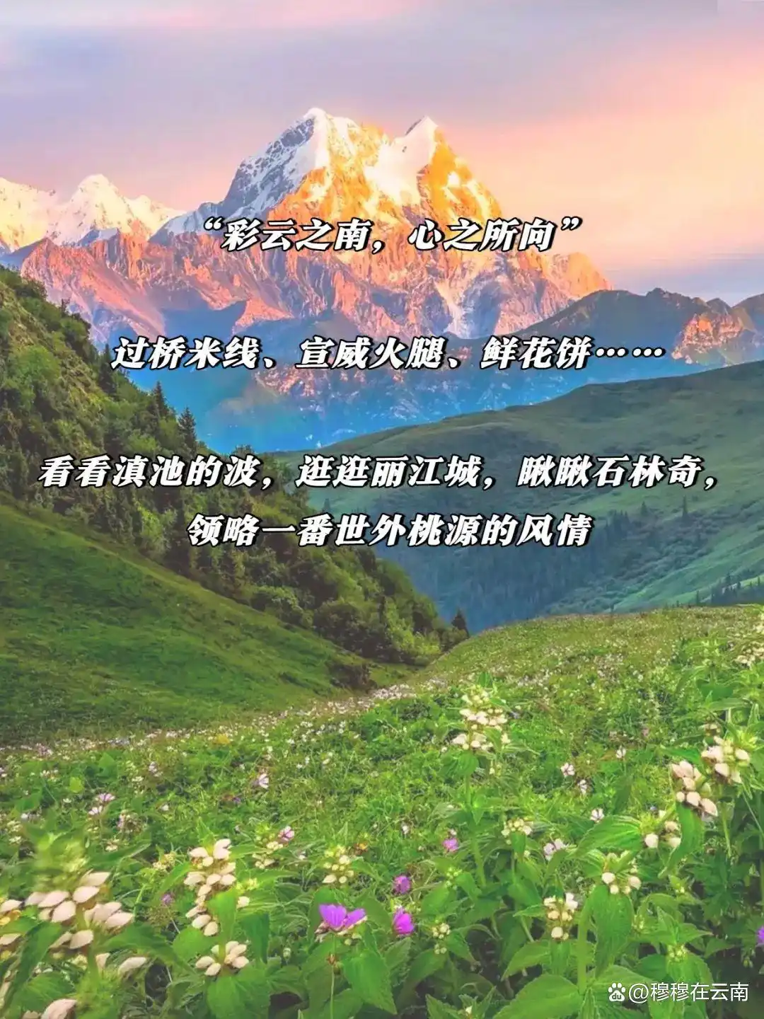 「云南旅游攻略」7-8月计划去云南的姐妹们！速查收超详细‼️