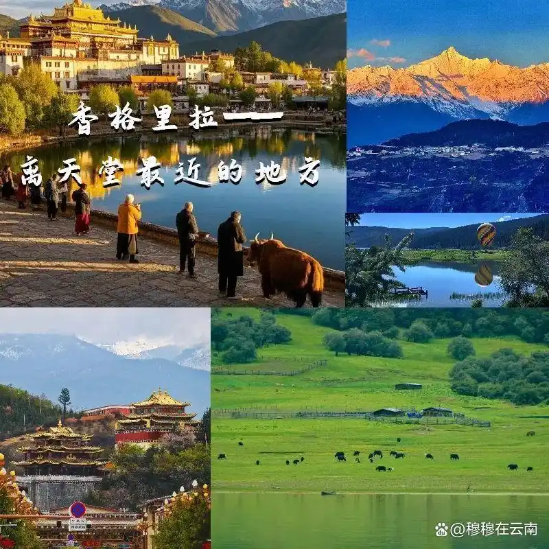 「云南旅游攻略」7-8月计划去云南的姐妹们！速查收超详细‼️