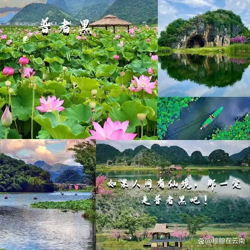 「云南旅游攻略」7-8月计划去云南的姐妹们！速查收超详细‼️