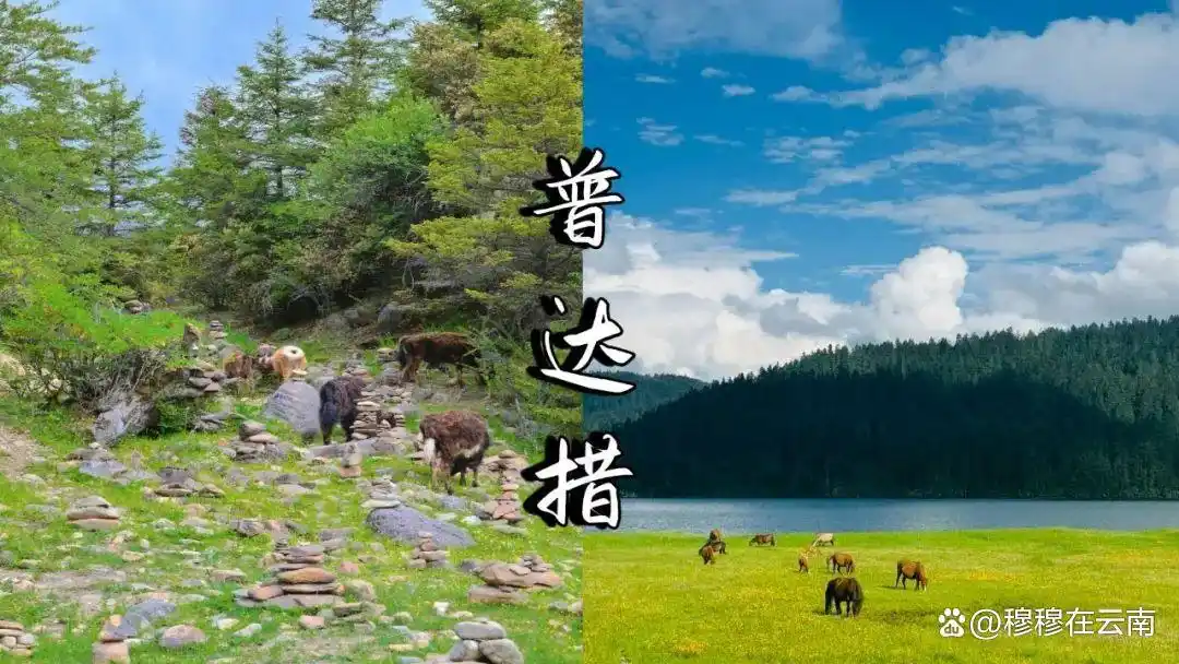 云南旅游最新攻略！熬夜整理的超详细云南旅游攻略！千万别错过！