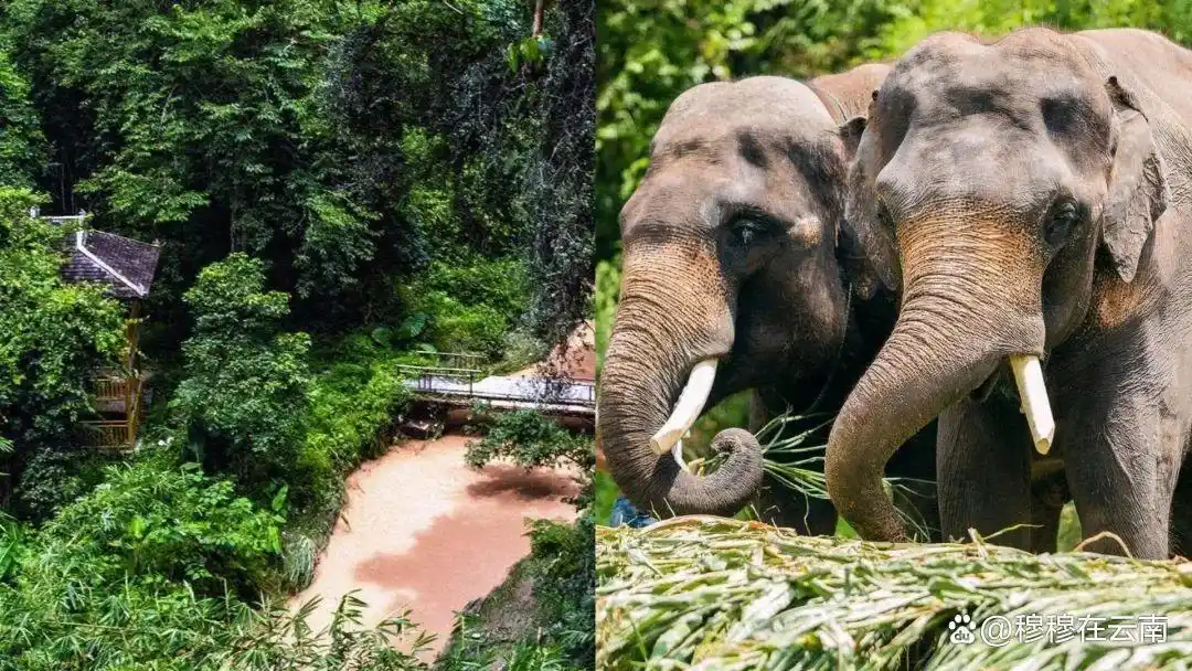 云南旅游最新攻略！熬夜整理的超详细云南旅游攻略！千万别错过！