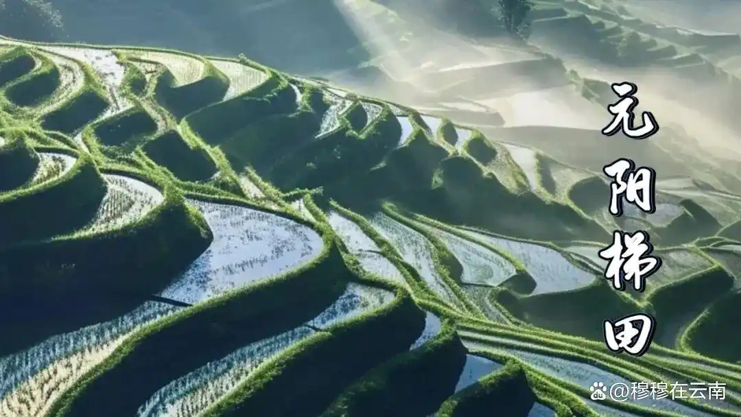 云南旅游最新攻略！熬夜整理的超详细云南旅游攻略！千万别错过！