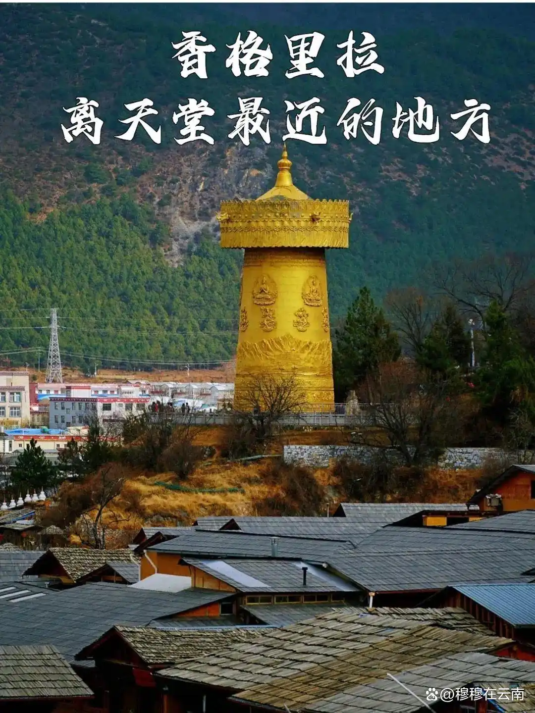 香格里拉旅游现状‼️熬夜总结的攻略，6-8月份计划去的提前看！