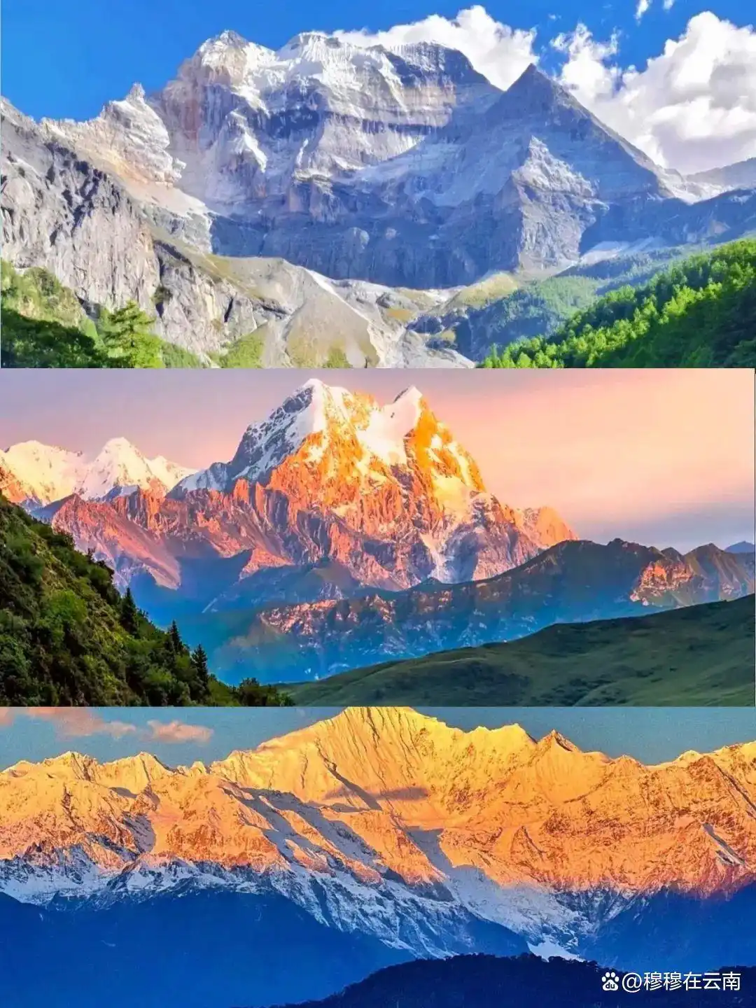 香格里拉旅游现状‼️熬夜总结的攻略，6-8月份计划去的提前看！