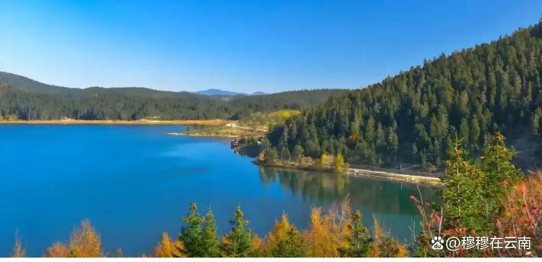 香格里拉旅游现状‼️熬夜总结的攻略，6-8月份计划去的提前看！