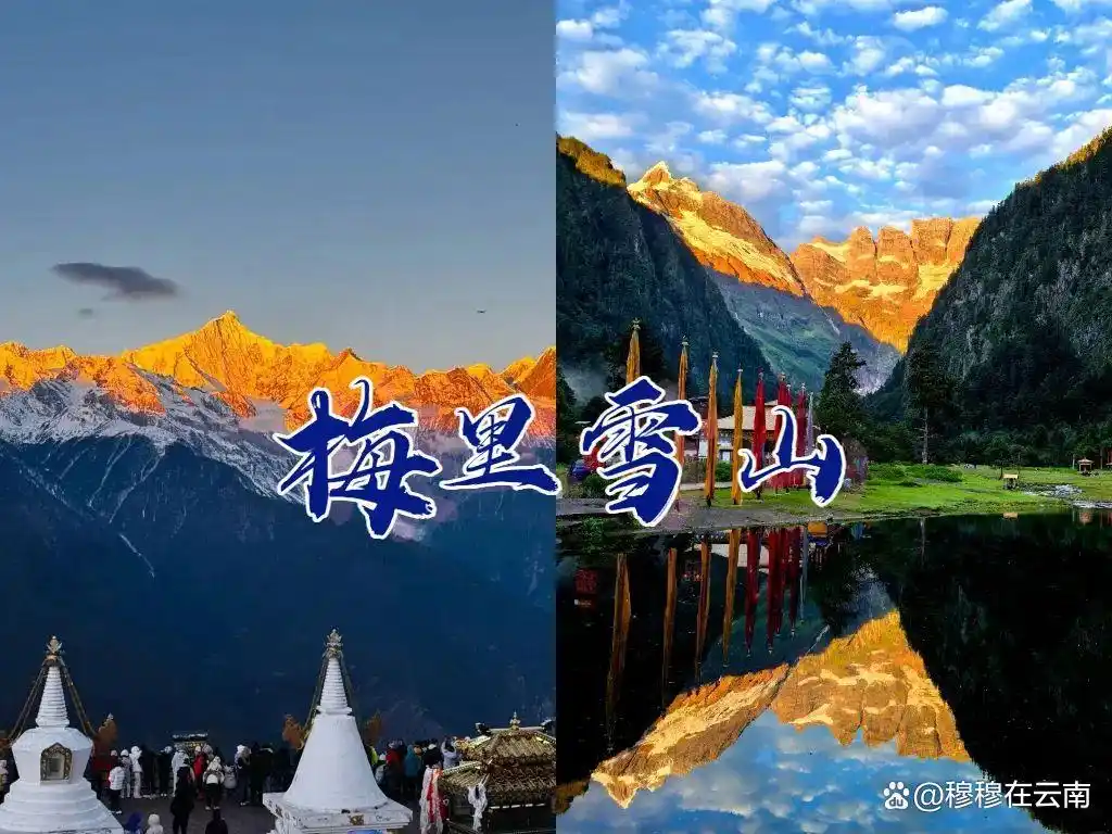 香格里拉旅游现状‼️熬夜总结的攻略，6-8月份计划去的提前看！