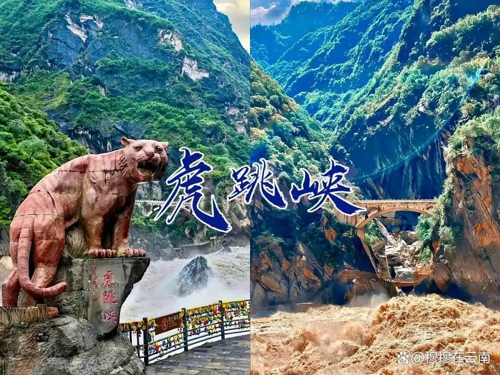 香格里拉旅游现状‼️熬夜总结的攻略，6-8月份计划去的提前看！