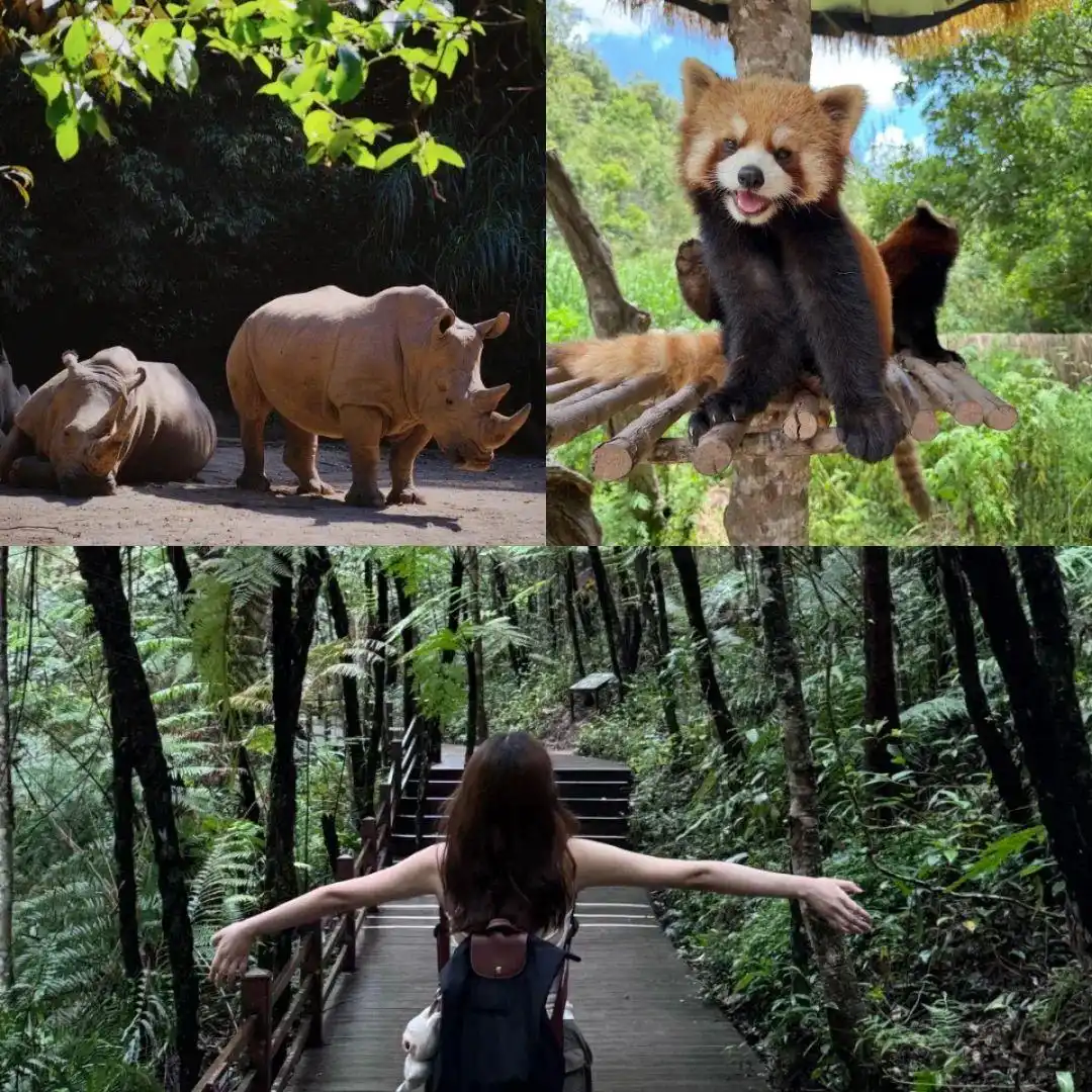 云南旅游懒人省心攻略！熬夜整理出3条省时不绕路路线任你选择~