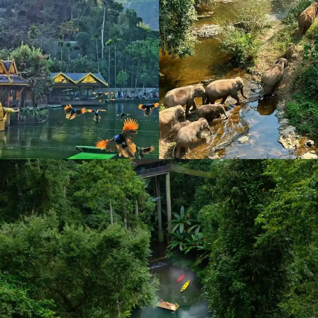 云南旅游懒人省心攻略！熬夜整理出3条省时不绕路路线任你选择~