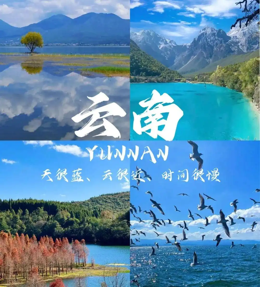 云南旅游懒人省心攻略！熬夜整理出3条省时不绕路路线任你选择~