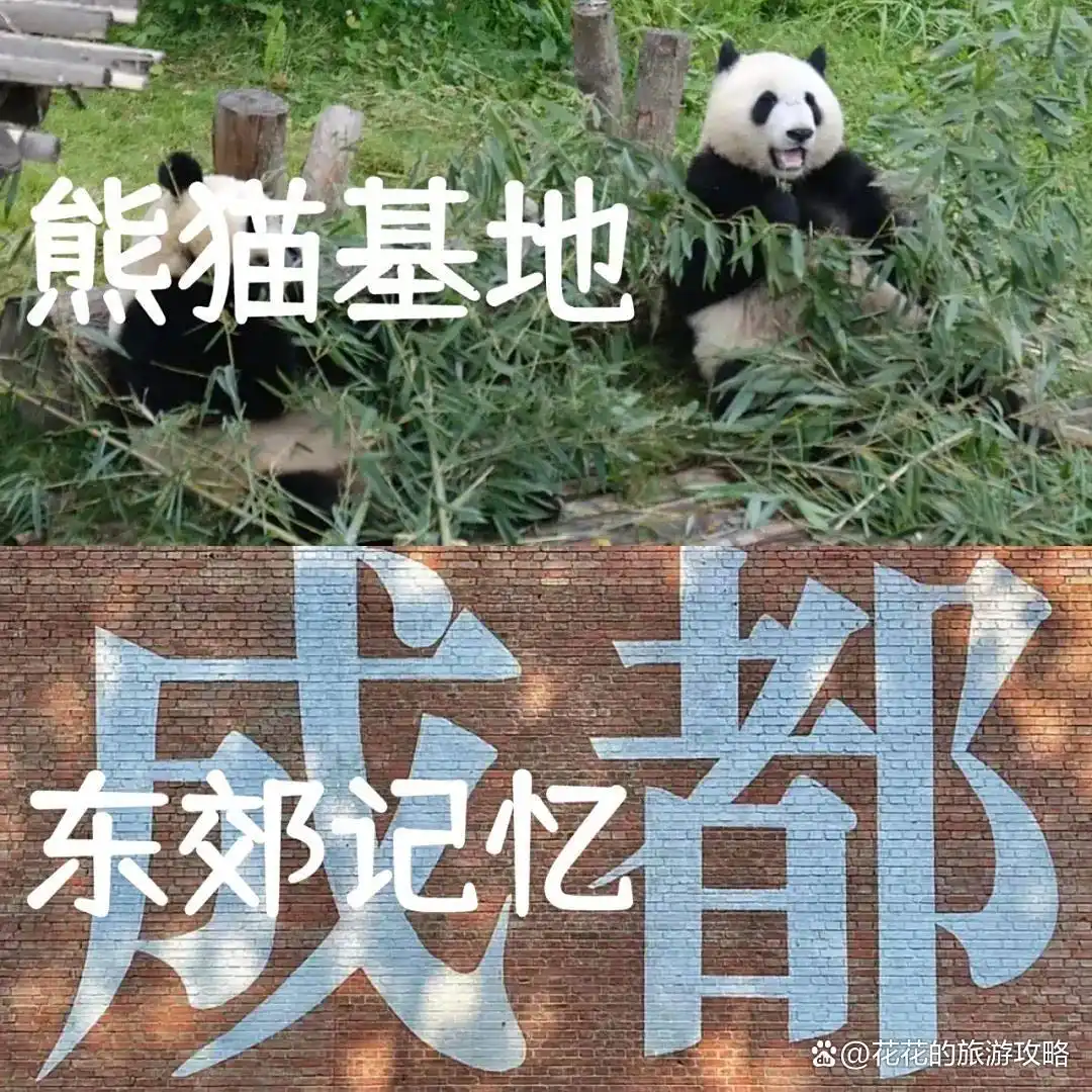 终于有人把成都旅游攻略说清楚了！7-8月去成都的姐妹看下吧！