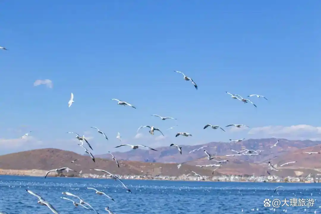 第一次来云南旅游必看攻略防坑指南+精华路线全拿走
