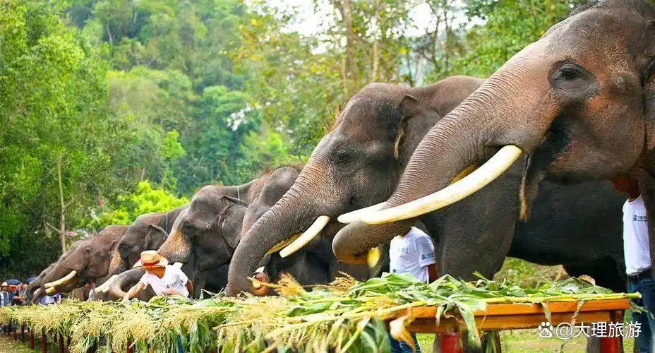第一次来云南旅游必看攻略防坑指南+精华路线全拿走