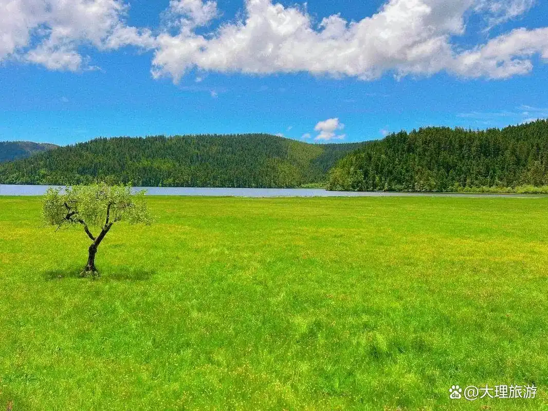 第一次来云南旅游必看攻略防坑指南+精华路线全拿走