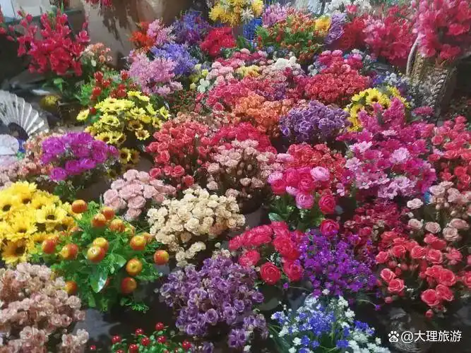 第一次来云南旅游必看攻略防坑指南+精华路线全拿走