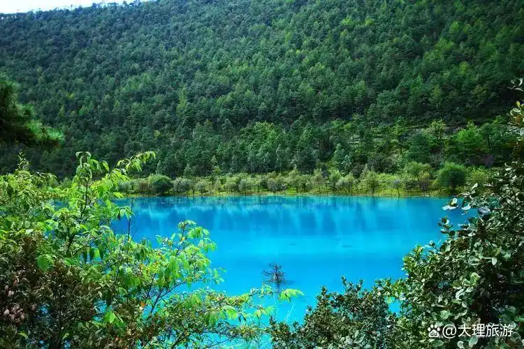 第一次来云南旅游必看攻略防坑指南+精华路线全拿走
