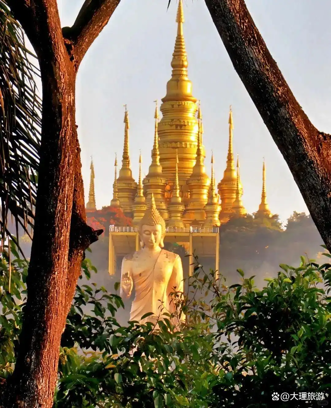 宝子们听劝3-6月西双版纳版纳旅游，这份攻略让你避开所有雷区