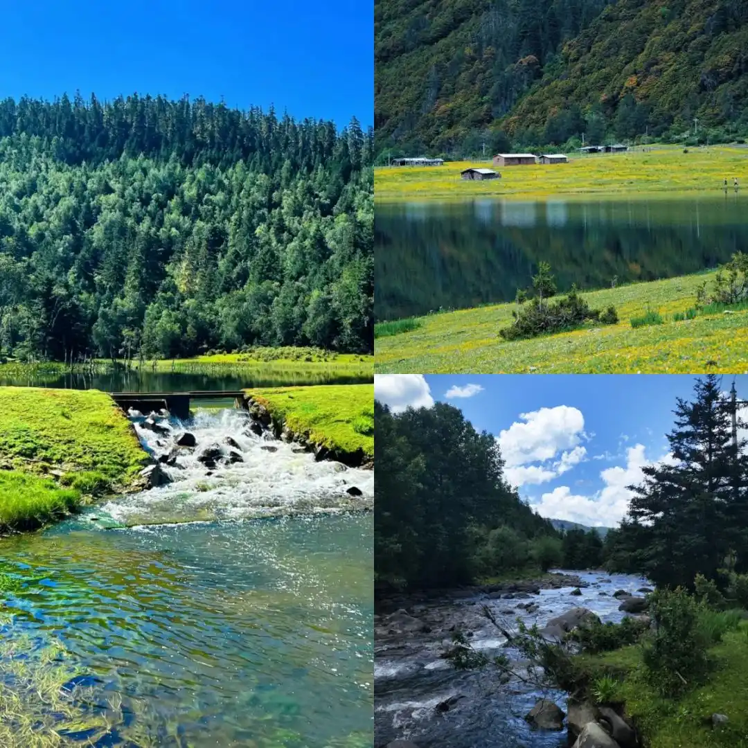 8-9月去云南旅游必看！听劝！这份避坑攻略让你来云南旅游少走弯路~