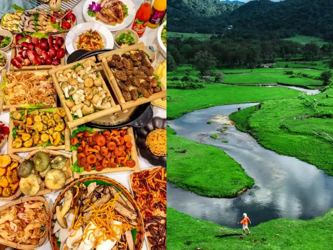 8-9月去云南旅游必看！听劝！这份避坑攻略让你来云南旅游少走弯路~