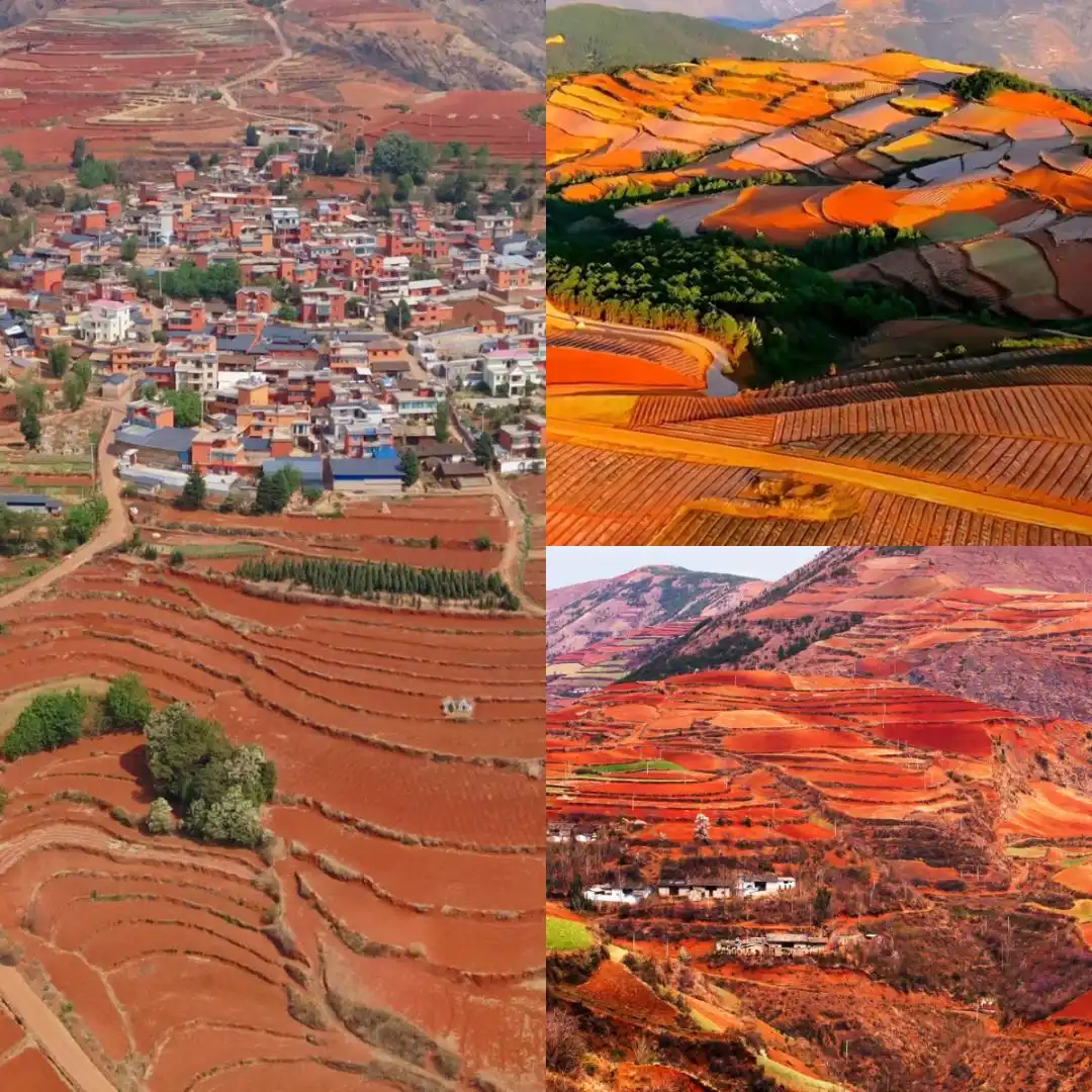 8-9月去云南旅游必看！听劝！这份避坑攻略让你来云南旅游少走弯路~