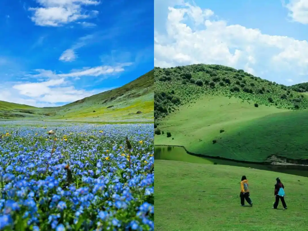 8-9月去云南旅游必看！听劝！这份避坑攻略让你来云南旅游少走弯路~
