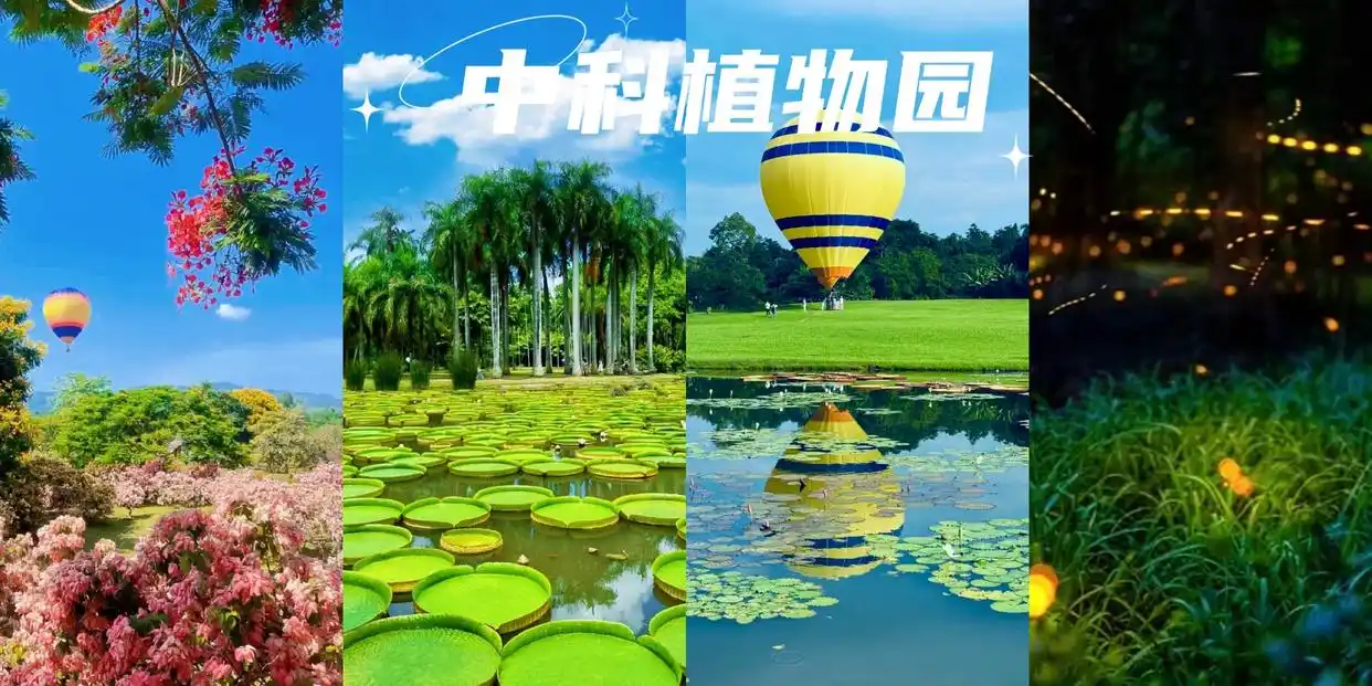 必看！云南旅游最全攻略！最佳景点+路线一篇搞定！