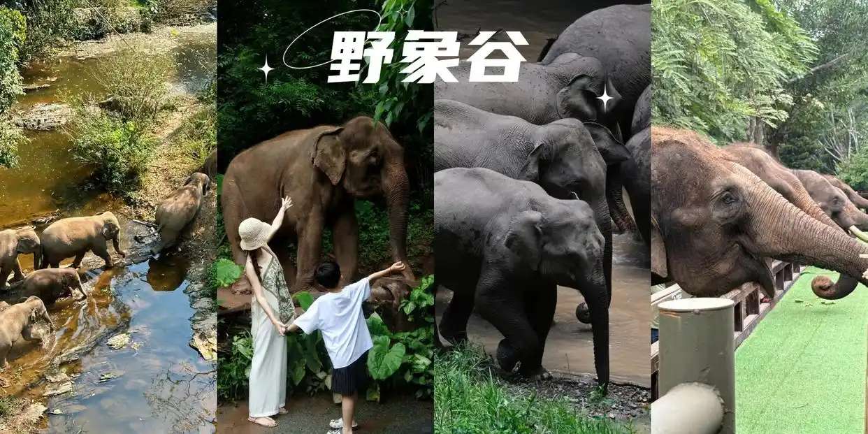 必看！云南旅游最全攻略！最佳景点+路线一篇搞定！