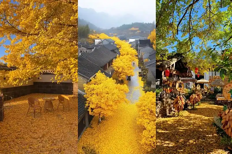 腾冲瑞丽芒市旅游注意！第一次来必看这篇防坑要点+超详细行程攻略~