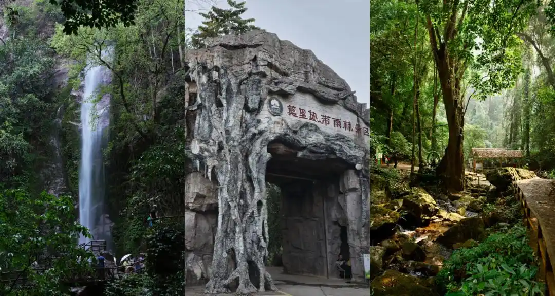 腾冲瑞丽芒市旅游注意！第一次来必看这篇防坑要点+超详细行程攻略~