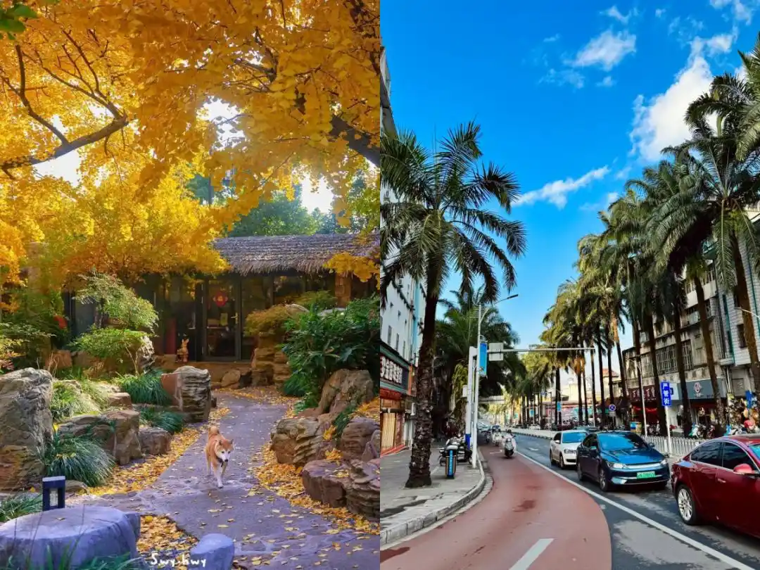 腾冲瑞丽芒市旅游注意！第一次来必看这篇防坑要点+超详细行程攻略~