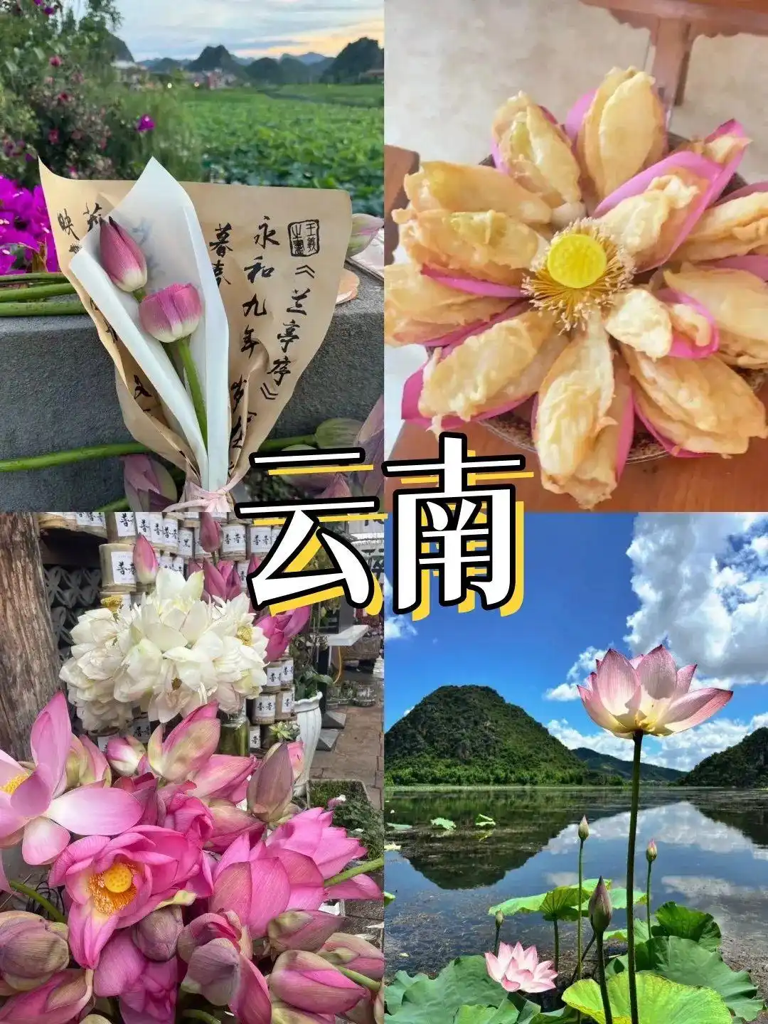 8-9月来云南旅游绝不踩雷攻略！懒人游直接跟着玩就对啦~