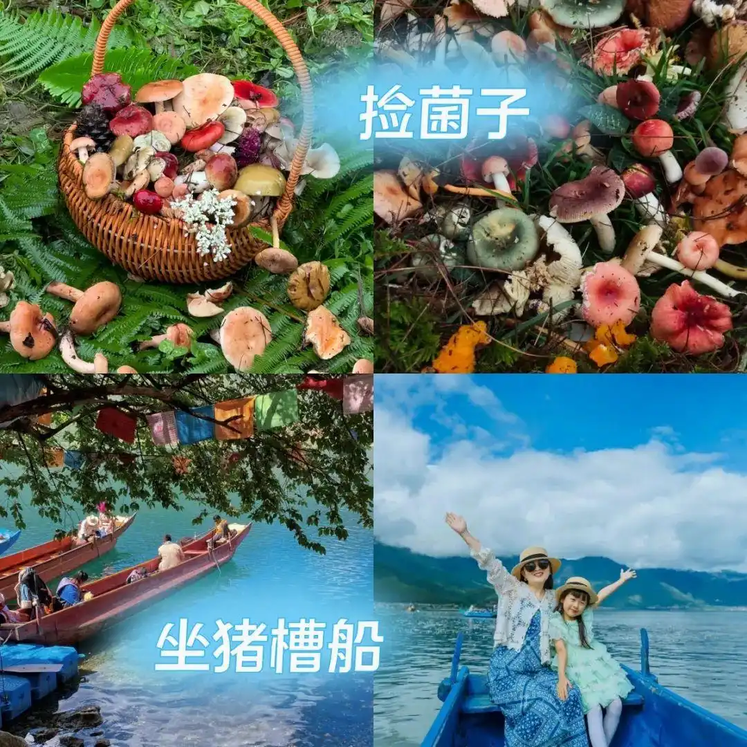 8-9月来云南旅游绝不踩雷攻略！懒人游直接跟着玩就对啦~