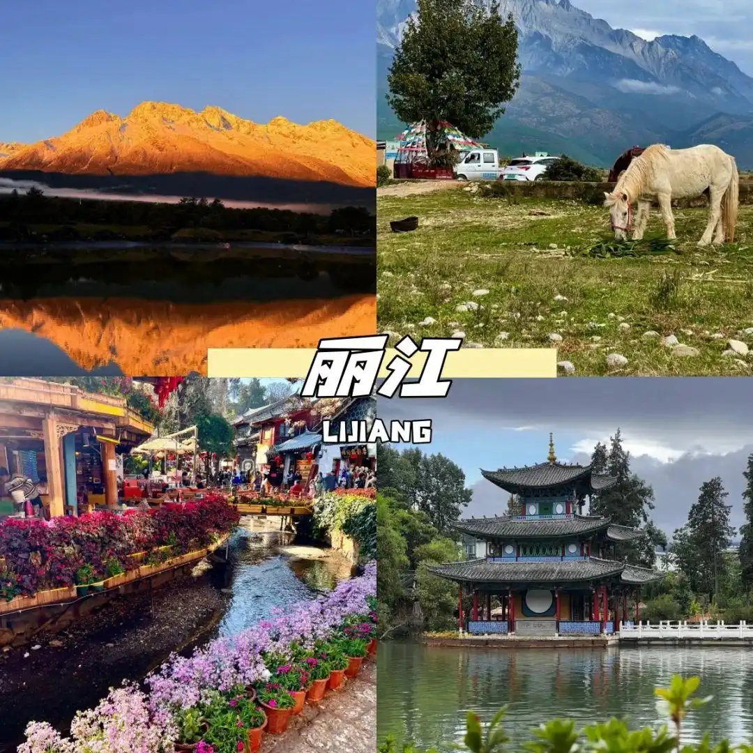 8-9月来云南旅游绝不踩雷攻略！懒人游直接跟着玩就对啦~