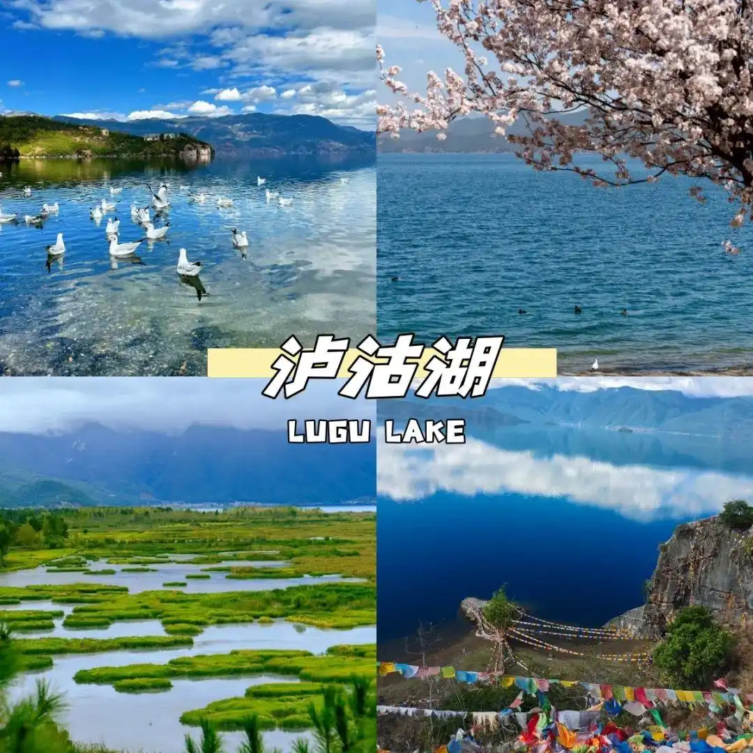 8-9月来云南旅游绝不踩雷攻略！懒人游直接跟着玩就对啦~