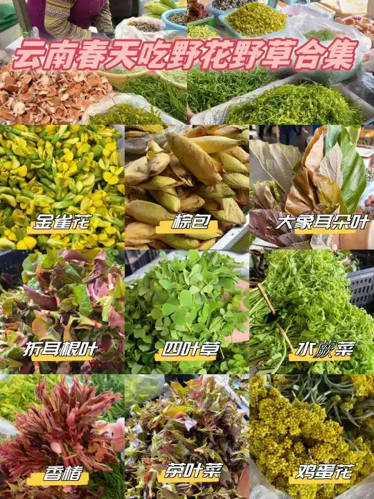 人生建议！2025一定要来一次云南，这篇超全旅游攻略给你整理好了