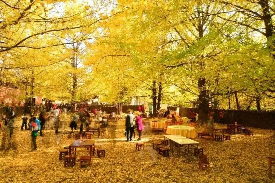 懒人必看！云南旅游「最全攻略」