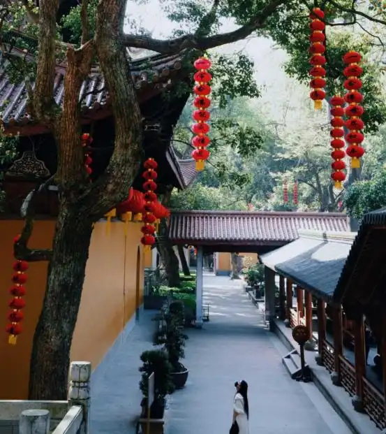 2024苏杭旅游：听了苏州本地人的建议，苏杭旅行真没踩雷！