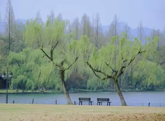 2024苏杭旅游：听了苏州本地人的建议，苏杭旅行真没踩雷！